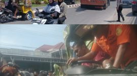 Sumber Foto ISTIMEWA
