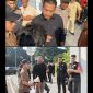 Kolase foto Massa aksi saat demo di Kawasan PT. Merdeka Copper Gold, SCBD Jakarta/Dok.Istimewa