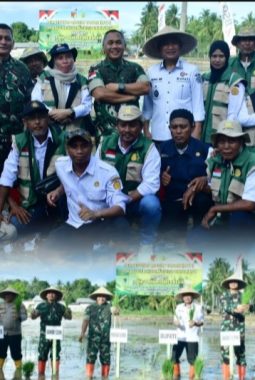 Ketahanan Pangan Pohuwato Diperkuat, Pangdam XIII Turun Langsung Tanam Padi di Randangan