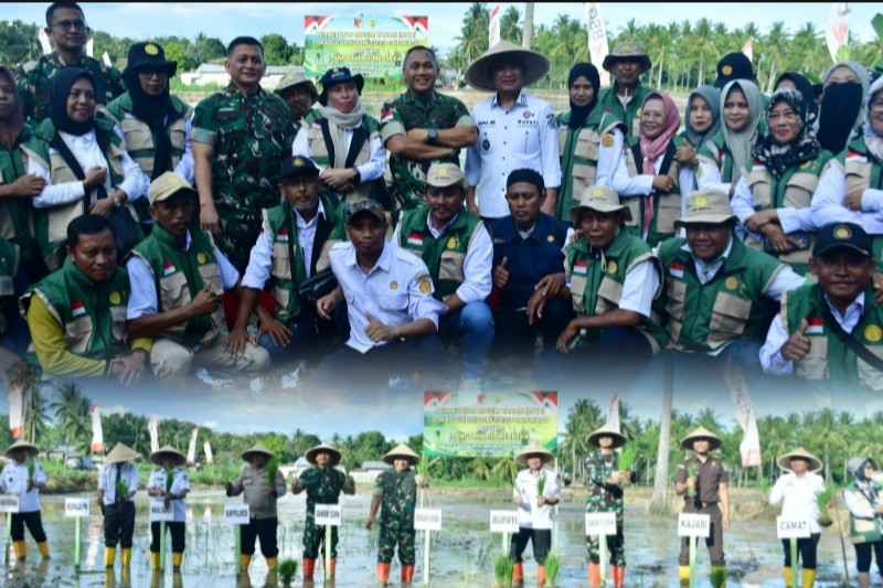 Kolase foto Pemda Pohuwato bersama Pangdam XIII/Merdeka Mayjen TNI Mirza Agus S.I.P. Penanaman dilakukan di lahan program CSR Kodim 1313/Pohuwato sebagai bagian dari penguatan ketahanan pangan daerah/Dok.Istimewa