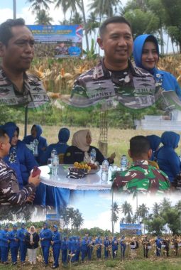 Panen Raya Jagung Perdana di Pohuwato, Lanal Gorontalo Perkuat Sinergi Ketahanan Pangan