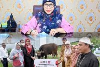 Penyerahan Hewan Kurban PT.Bank SulutGo kepada Pemda Bone Bolango oleh Wakil Pemimpin PT. Bank SulutGo Cabang Suwawa, Selvi Tombokan dan diterima langsung oleh Kepala Bagian Tata Pemerintahan dan Kesra Setda Kabupaten Bone Bolango, Erna Patuti, Senin (25/05/2026).Dok Istimewa