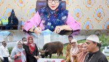 Penyerahan Hewan Kurban PT.Bank SulutGo kepada Pemda Bone Bolango oleh Wakil Pemimpin PT. Bank SulutGo Cabang Suwawa, Selvi Tombokan dan diterima langsung oleh Kepala Bagian Tata Pemerintahan dan Kesra Setda Kabupaten Bone Bolango, Erna Patuti, Senin (25/05/2026).Dok Istimewa