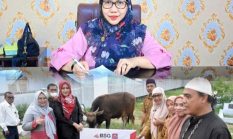 Hewan Kurban di Bone Bolango Tembus 1.155 Ekor, Kabupaten Dapat Bantuan dari Presiden Prabowo