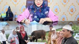 Penyerahan Hewan Kurban PT.Bank SulutGo kepada Pemda Bone Bolango oleh Wakil Pemimpin PT. Bank SulutGo Cabang Suwawa, Selvi Tombokan dan diterima langsung oleh Kepala Bagian Tata Pemerintahan dan Kesra Setda Kabupaten Bone Bolango, Erna Patuti, Senin (25/05/2026).Dok Istimewa