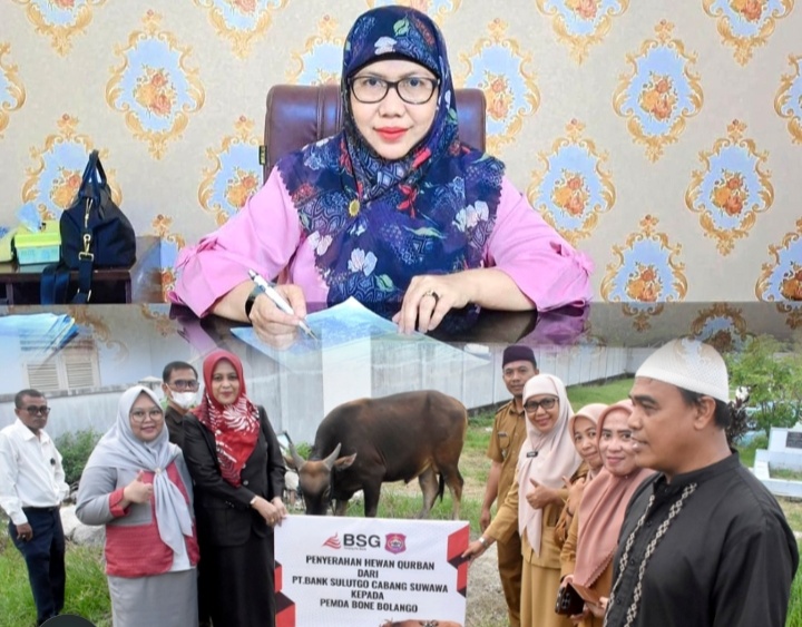 Penyerahan Hewan Kurban PT.Bank SulutGo kepada Pemda Bone Bolango oleh Wakil Pemimpin PT. Bank SulutGo Cabang Suwawa, Selvi Tombokan dan diterima langsung oleh Kepala Bagian Tata Pemerintahan dan Kesra Setda Kabupaten Bone Bolango, Erna Patuti, Senin (25/05/2026).Dok Istimewa