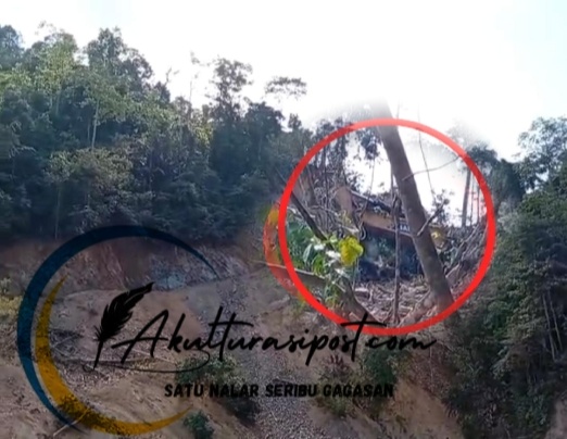 Foto tangkapan layar kecelakaan kerja di lokasi Pani Gold Mine dari video yang beredar di masyarakat.Dok istimewa