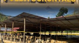 Kolase Foto Polda GORONTALO dan Lokasi pengolahan Tambang emas tanpa izin di Suwawa timur, Dok. Istimewa